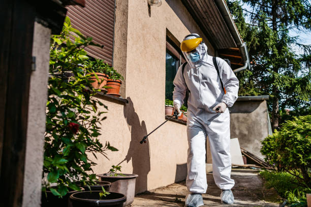 Professional Pest Control in Streetsboro, OH