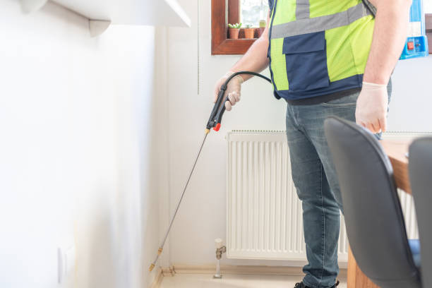 Best Local Pest Control Services  in Streetsboro, OH
