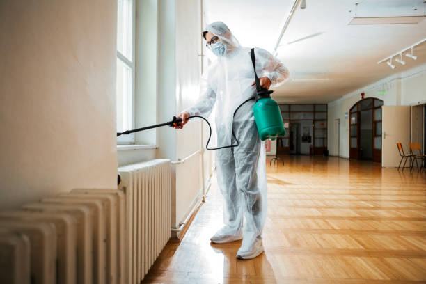 Best Cockroach Control Services  in Streetsboro, OH