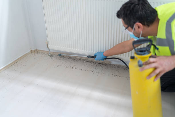 Best Insect Control  in Streetsboro, OH