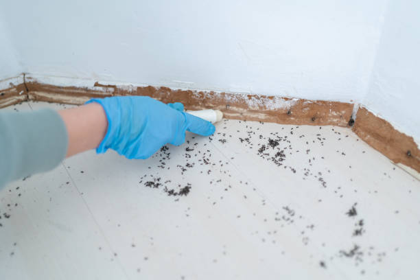 Best Residential Pest Control  in Streetsboro, OH