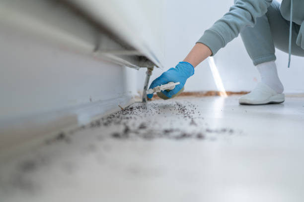 Best Local Pest Control Services  in Streetsboro, OH