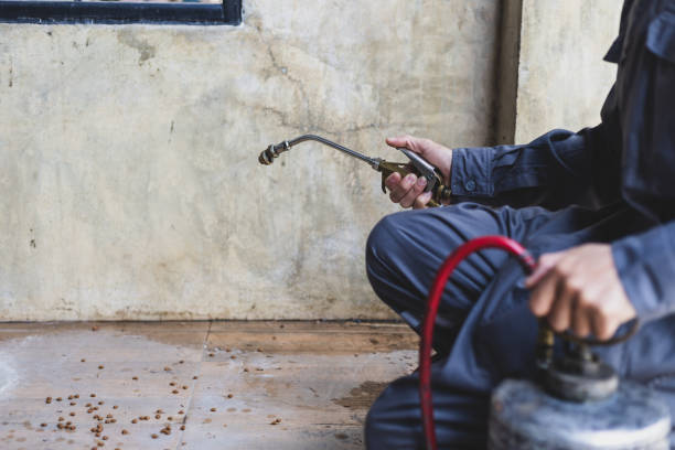 Pest Prevention Services in Streetsboro, OH